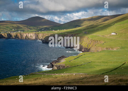 Vista lungo la costa occidentale della penisola di Dingle, nella contea di Kerry, Repubblica di Irlanda Foto Stock