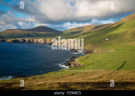 Vista lungo la costa occidentale della penisola di Dingle, nella contea di Kerry, Repubblica di Irlanda Foto Stock