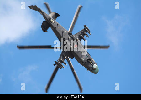 Il russo Air Force Ka-52 eseguendo in Zhukovsky, Russia, durante il Salone dell'aviazione MAKS airshow-2015. Foto Stock