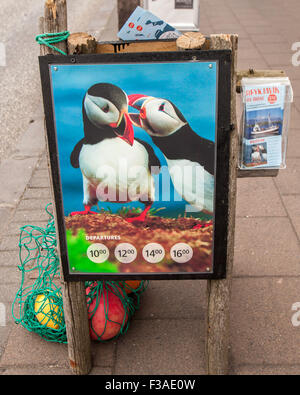 Reykjavik, Islanda. 28 Luglio, 2015. Un cartello di strada nel centro di Reykjavik, capitale dell Islanda, annuncia un tour per vedere i puffini, un simbolo nazionale di Islanda. L'Islanda è diventata una destinazione turistica preferita. © Arnold Drapkin/ZUMA filo/Alamy Live News Foto Stock