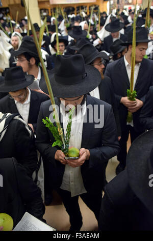 Un gruppo di ebrei religiosi uomini pregando sulla Sukkot con l uomo al centro utilizzando un telefono cellulare come un libro di preghiera. Brooklyn, NY Foto Stock