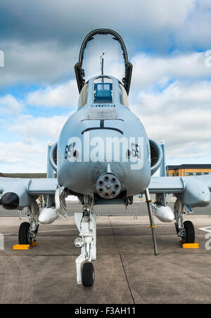 Vista di testa di Fairchild Republic A-10 Thunderbolt II (parcheggiato) che mostra il naso-montato 30 mm GAU-8/un vendicatore autocannon rotante Foto Stock