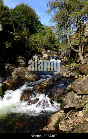 Il Afon Glaslyn nel Aberglaslyn Pass, Gwynnedd, il Galles del Nord Foto Stock