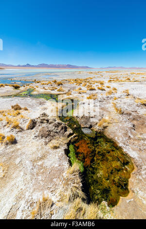 Coloratissima primavera calda con depositi di minerali e alghe su altipiani andini, Bolivia. Salt Lake, montagne e vulcani Foto Stock