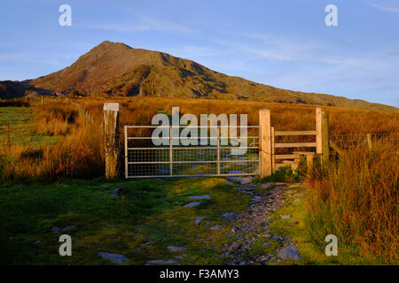 Moel Siabod in inizio di mattina di luce, Snowdonia, Galles Foto Stock