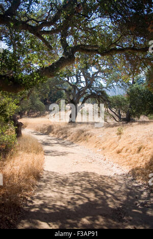 Sentiero Almaden Quicksilver County Park, San Jose, California Foto Stock