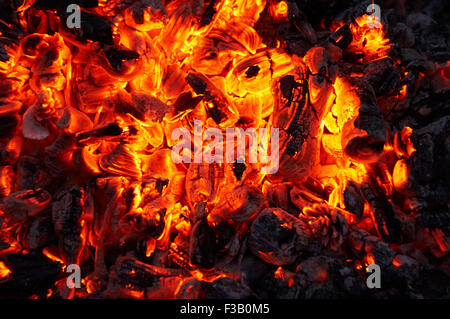 Sotto le ceneri di carbone di legna. È luminoso e caldo. Foto Stock