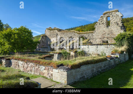 Rovine di Alvastra Abbey - un monastero cistercense in Svezia meridionale risalente alla prima metà del XII secolo Foto Stock