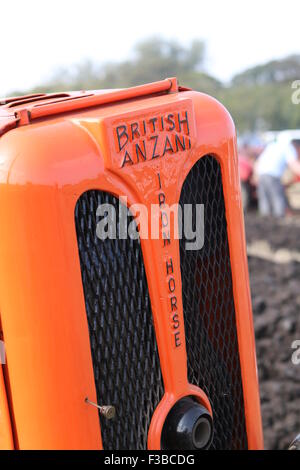 British Anzani Ferro cavallo Foto Stock