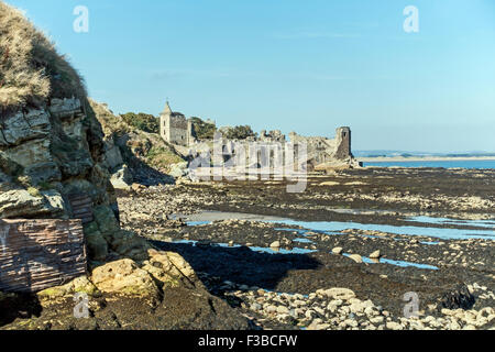 Il St. Andrews rovina visto dal porto in St Andrews Fife Scozia Scotland Foto Stock