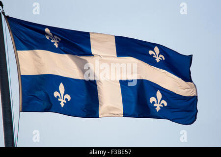 Bandiera del Quebec sventolare nel vento. Foto Stock