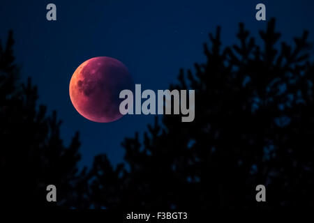 Super luna Lunar Eclipse 28.9.2015 in Finlandia Foto Stock