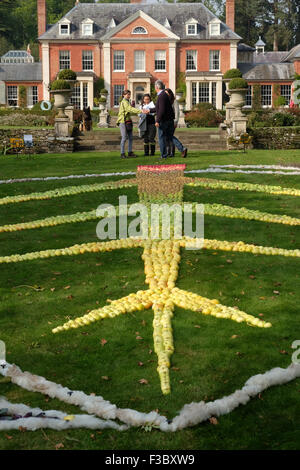 Newport House, Almeley, Herefordshire UK - Domenica 4 ottobre 2015 - il giorno di apertura per il fuori della natura esposizione di scultura con oltre duecento pezzi di lavoro da 40 artisti visualizzati in giardini formali di Newport House. Questo pezzo è di Land Art di un work in progress per artista Tamsin dentata realizzata da mele e altri prodotti naturali. La mostra viene eseguito fino al 25 ottobre 2015. Foto Stock