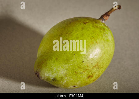 Mature American Paw Paw Foto Stock