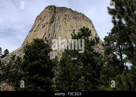 Devil's Tower monumento nazionale, Wyoming Foto Stock