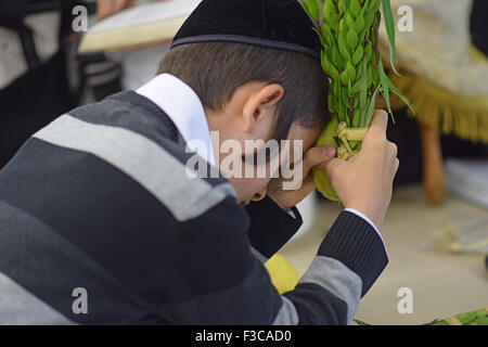 Un giovane uomo detiene un esrog e lulav durante Sukkot mattina servizi in una sinagoga nel Queens, a New York Foto Stock