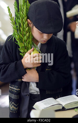 Un giovane uomo detiene un esrog e lulav durante Sukkot mattina servizi in una sinagoga nel Queens, a New York Foto Stock