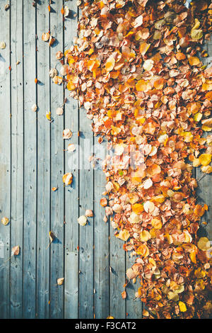 Molte foglie gialle a terrazza in legno piano fotografata da abo Foto Stock