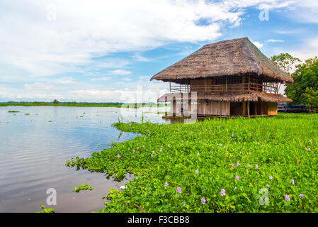 Vecchia capanna di legno galleggiante sul Fiume Rio delle Amazzoni a Iquitos, Perù Foto Stock