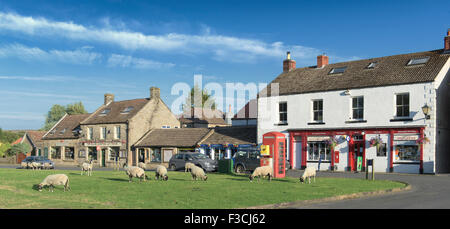 Villaggio di Goathland che è ben noto per le pecore che hanno accesso a tutte le aree pubbliche per il pascolo comune. Foto Stock