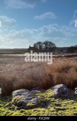 Moorland nel luminoso winter sunshine vicino a Goathland, North Yorkshire. Foto Stock