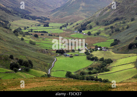 Estate, Martindale valle comune, Parco Nazionale del Distretto dei Laghi, Cumbria County, Inghilterra, Regno Unito. Foto Stock