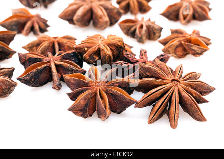 Anice stelle su sfondo bianco Foto Stock