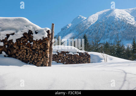 Österreich, Niederösterreich, Lackenhof am Ötscher, Ötscher, Brennholz auf der Wiese Bockhörner Foto Stock