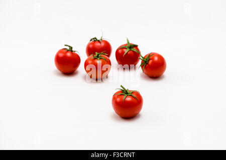 6 pomodori rossi (Solanum Lycopersicum), visualizzata sul tavolo bianco Foto Stock