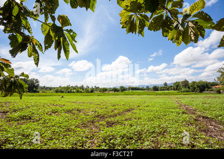 Molte nuvole nel paesaggio in Thailandia Foto Stock