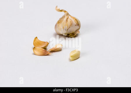 Alcuni spicchi di aglio e un bulbo di aglio (allium sativum), visualizzata su un tavolo bianco Foto Stock