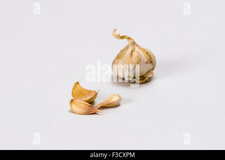 Alcuni spicchi di aglio e un bulbo di aglio (allium sativum), visualizzata su un tavolo bianco Foto Stock