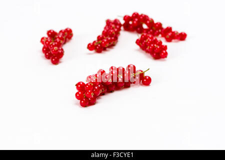 Alcune orecchie di ribes rosso (ribes rubrum), visualizzata su un tavolo bianco Foto Stock