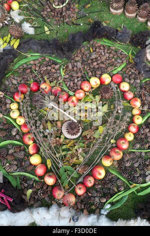 Arte dei giardini a forma di cuore realizzato da mele foglie e pigne in autunno Foto Stock