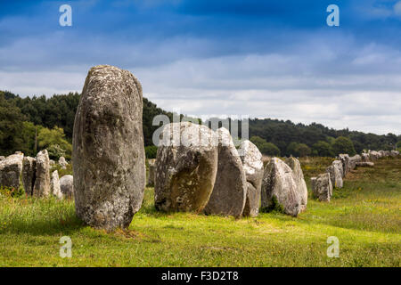 Alignements Menec megalitico pietre permanente Neolitico Carnac Morbihan Bretagna francese Francia Europa Foto Stock