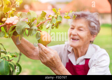 Senior donna nel suo giardino Foto Stock