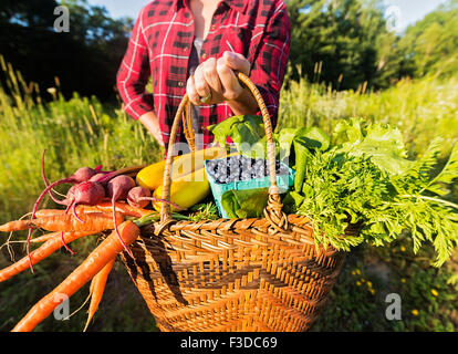 La sezione centrale della donna azienda cesto con frutta e verdura Foto Stock