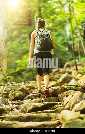 Vista posteriore di un escursionista femmina nella foresta Foto Stock