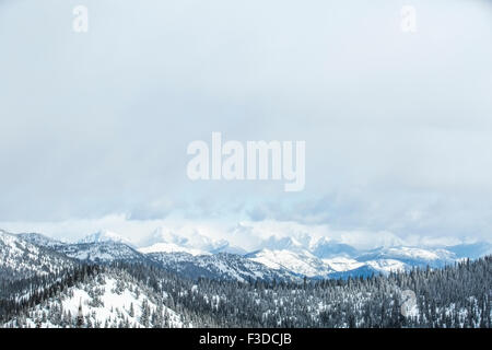 Paesaggio con montagne e foreste in inverno Foto Stock