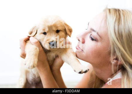 Ritratto di Golden Retriever cucciolo con il proprietario Foto Stock