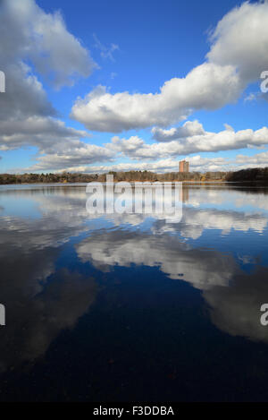 Il Cloud riflessione sulla Giamaica stagno Foto Stock