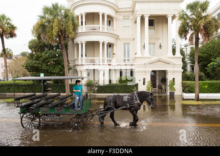 Charleston, Carolina del Sud, Stati Uniti d'America. 05 ott 2015. Carrozze fanno la loro strada attraverso inondazione lungo la batteria nel quartiere storico dopo il record di tempeste di rottura oggetto di dumping più di due piedi di pioggia sul lowcountry Ottobre 5, 2015 a Charleston, Carolina del Sud. Foto Stock