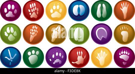 Diciotto animali vari pulsanti traccia Illustrazione Vettoriale