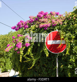 Nessuna voce segno ricoperta con impianto di bougainvillaea Foto Stock