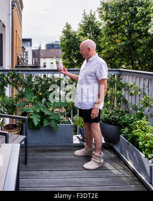 Senior man tenendo un melanzana coltivate in vaso sul balcone di vegetali e giardino di erbe aromatiche Foto Stock