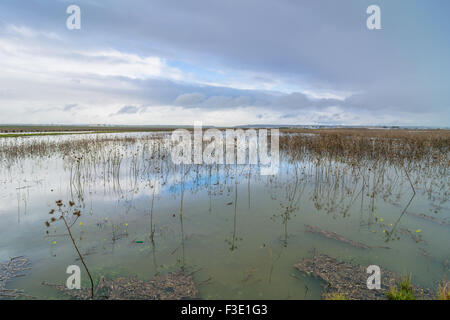 TRAPANI, Italia - 22 febbraio 2014: vista giorno della Riserva naturale integrale Saline di Trapani e Paceco in provincia di Trapani, Italia. Foto Stock