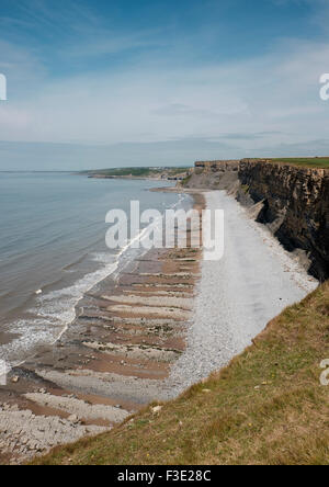 La spiaggia e le scogliere a Traeth Mawr vicino Monknash sul Glamorgan Heritage Costa, Galles del Sud Foto Stock