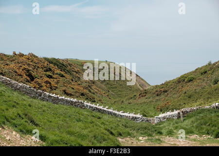 In Glamorgan Heritage costa tra Southerndown e St Donats - Cwm Bach conduce alla spiaggia Traeth Bach Foto Stock