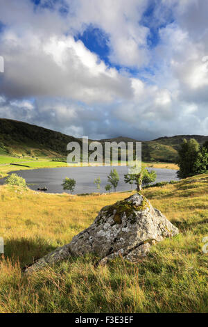 Summer View su Watendlath Tarn, Parco Nazionale del Distretto dei Laghi, Cumbria, England, Regno Unito Foto Stock