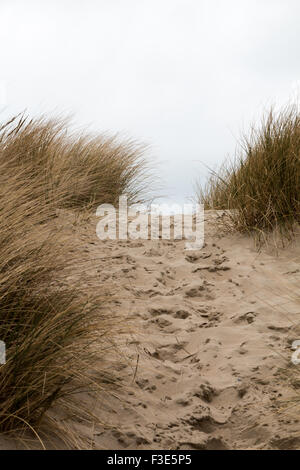 Orme nella sabbia tra sabbiose dune di erba - verticale Foto Stock